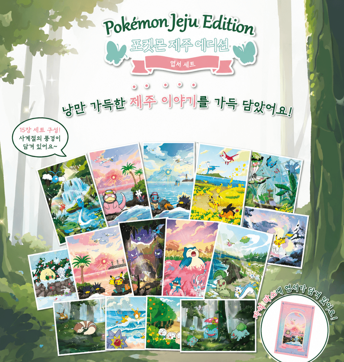 포켓몬 제주 한정판 엽서 박스 (15종, 미개봉)